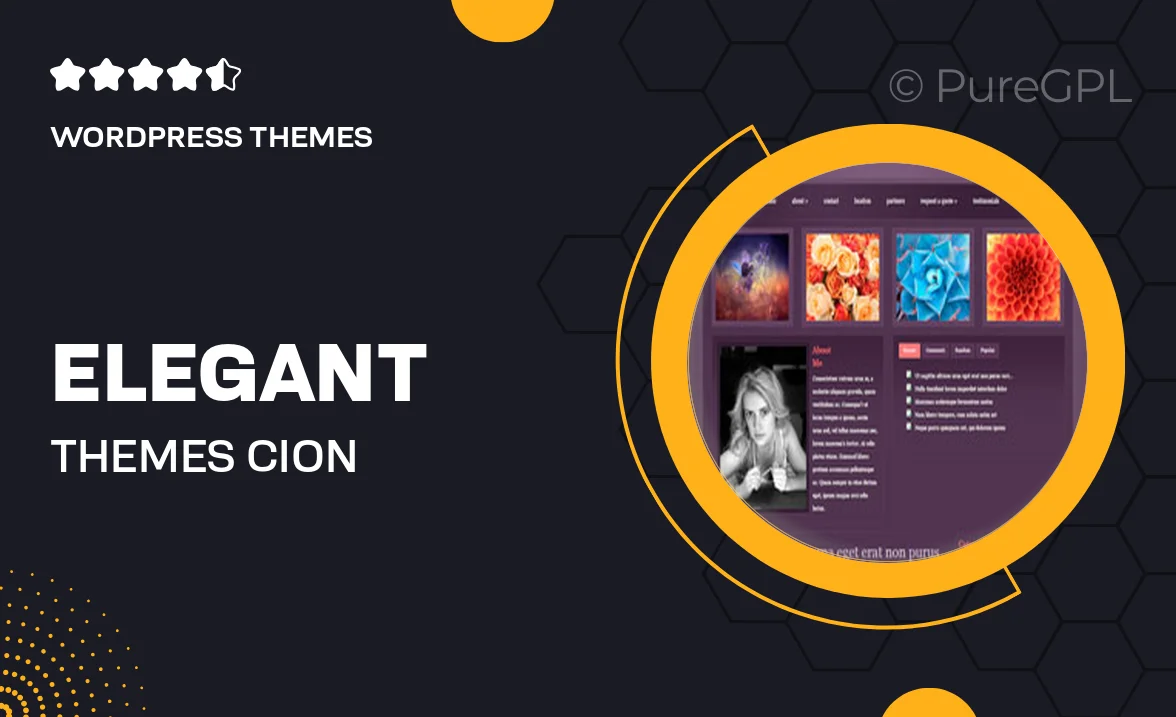 Elegant themes | Cion