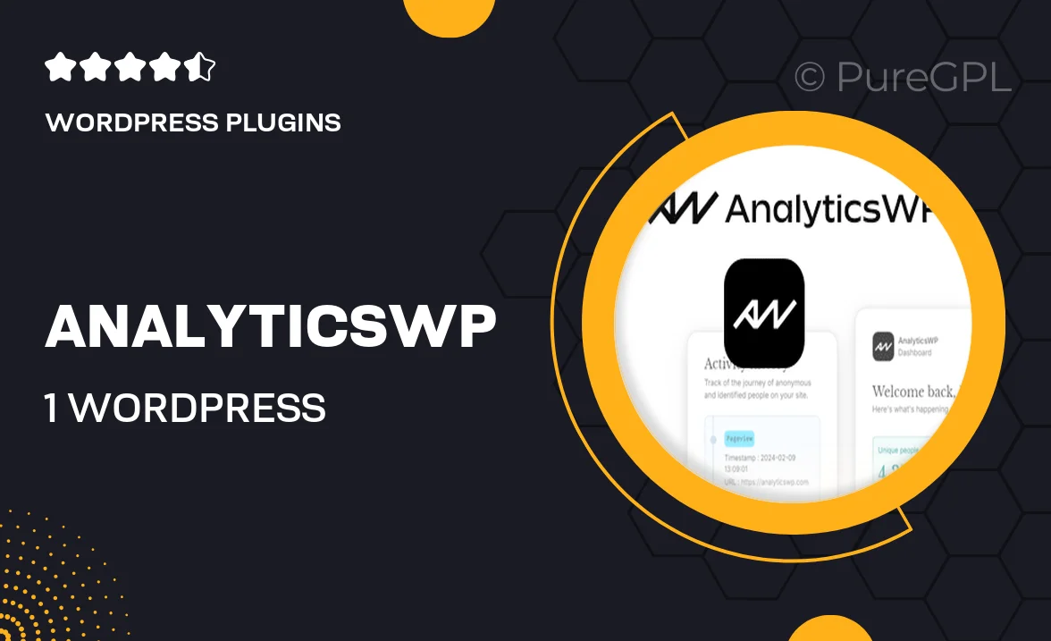 AnalyticsWP #1 WordPress Analytics Plugin