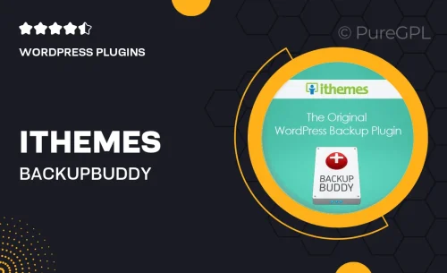 IThemes BackupBuddy WordPress Plugin